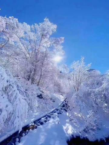 茗阳·宿温Suenn商务度假宾馆(长白山美人松雕塑公园店)图片