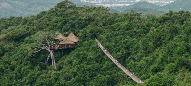 三亚亚龙湾人间天堂-鸟巢度假村图片