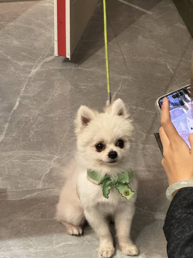 花筑·盛景民宿(大宋不夜城店)图片