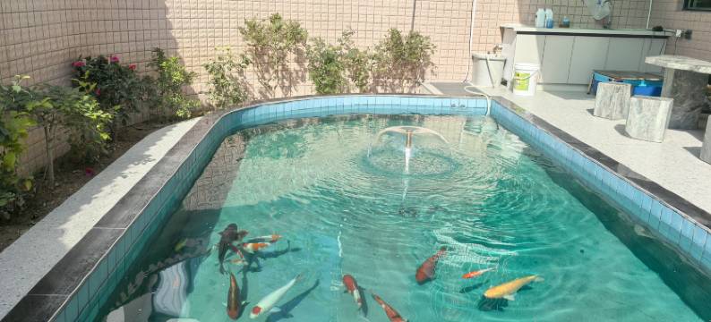 泉州市舒馨雅苑(西街西湖公园店)图片