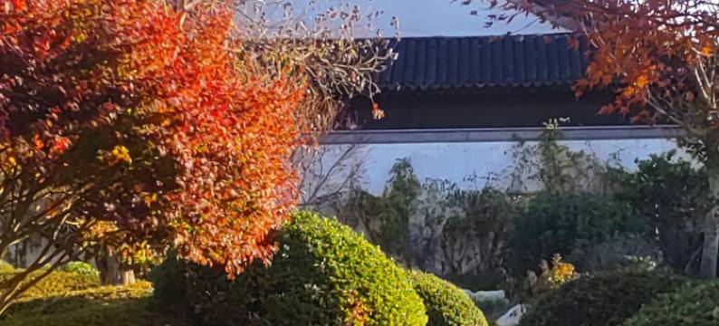 藏马山·云茗山庄图片