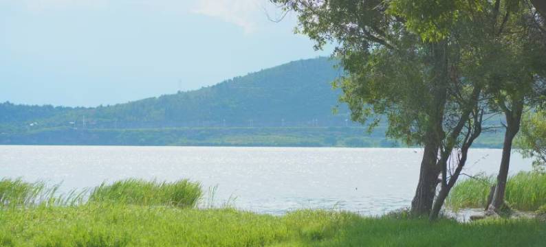 大理自由自在民宿(理想邦店)图片