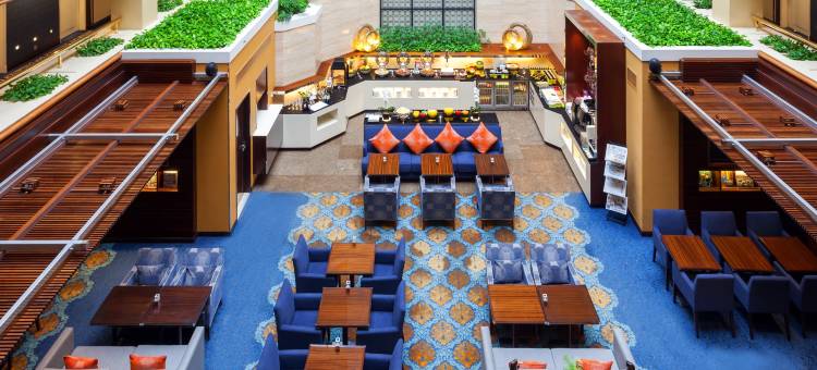 新加坡乌节市中心假日酒店 - IHG 旗下酒店(Holiday Inn Singapore Orchard City Centre)图片