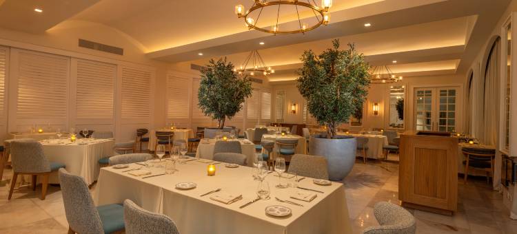 科苏梅尔宫全包酒店(Cozumel Palace - All Inclusive)图片