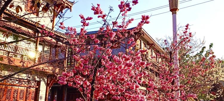 会理在水宜芳酒店图片