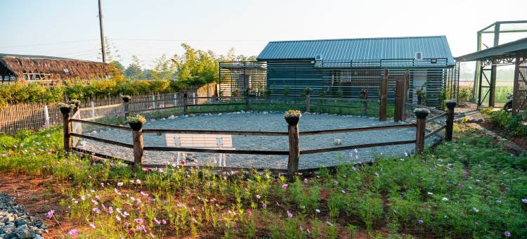 Baanmax Boutique Pet Resort & Lodge, Chiangrai图片