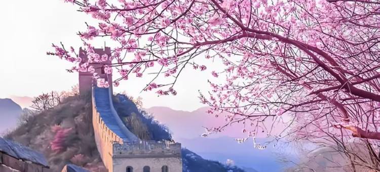 三河都市花园酒店图片