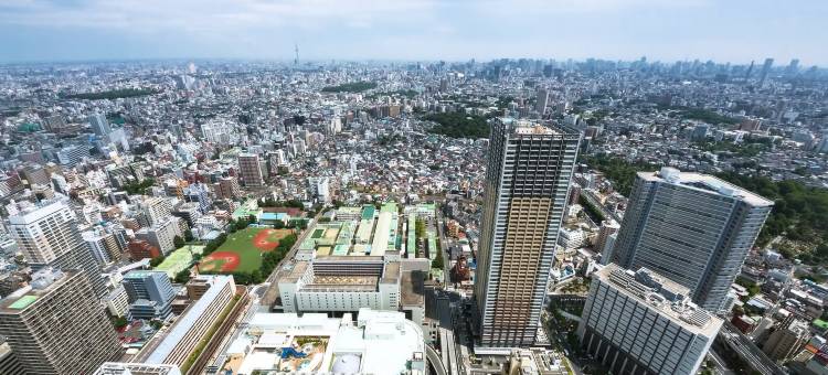 池袋中央酒店(Ikebukuro Central Hotel)图片