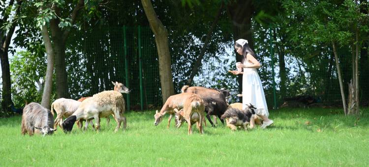 三岔湖环球融创天堂洲际酒店图片