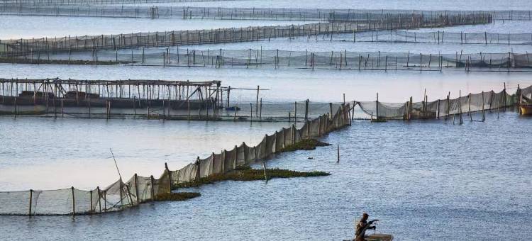 苏州阳澄半岛英迪格酒店图片