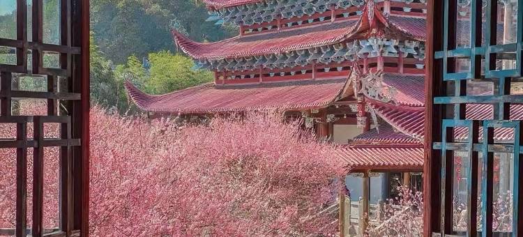 7天酒店(垫江南阳路店)图片