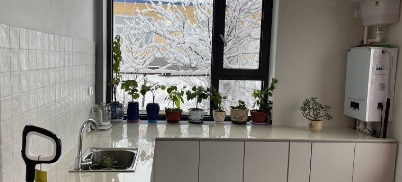 向野·栖听雪TheBeautyofTheEast观雪景民宿(中国雪谷风景区店)图片