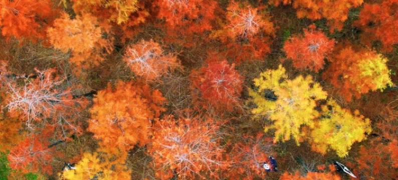 湖景·Lake view春江花月夜酒店(昆明滇池海埂大坝店)图片