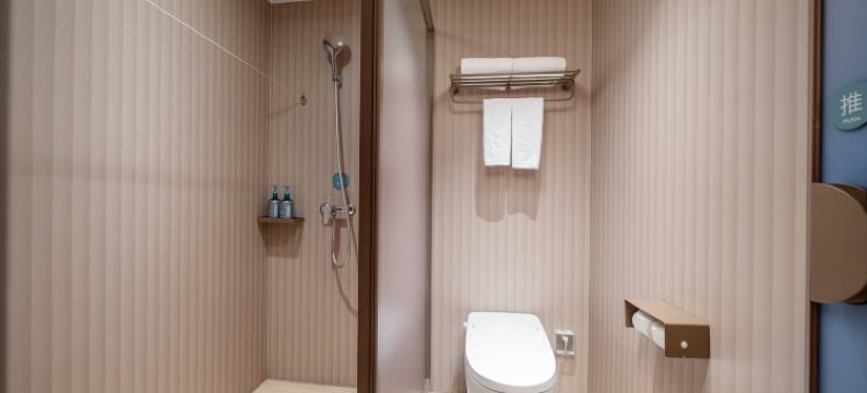 巴马寿乡国际大酒店(寿乡文化广场店)图片