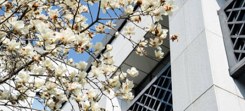 黄山昱城皇冠假日酒店图片