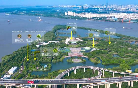 镇江润扬大桥酒店图片