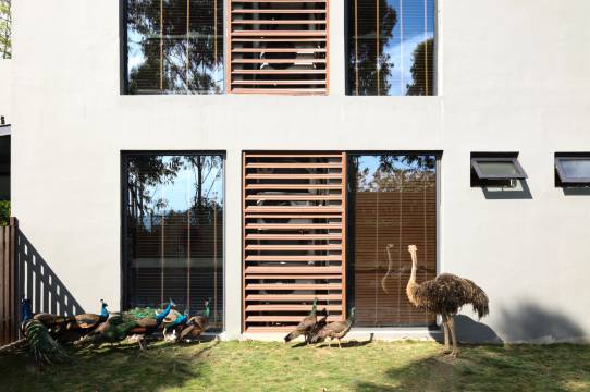 清水岩温泉度假村图片