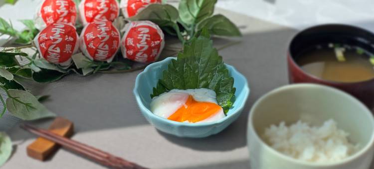 福岛瑟莱克顿饭店(The Celecton Fukushima)图片