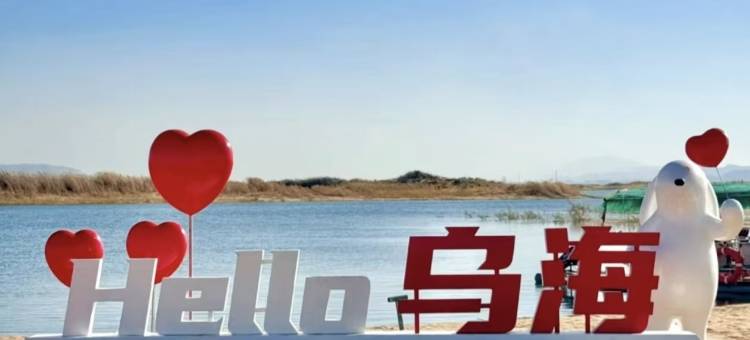 乌海瑛璞雅致酒店(乌海站高铁站店)图片