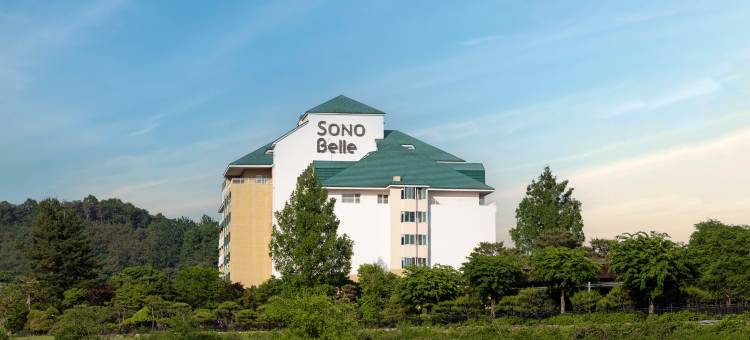 索诺BELLE 杨平郡酒店(Sono Belle Yangpyeong)图片