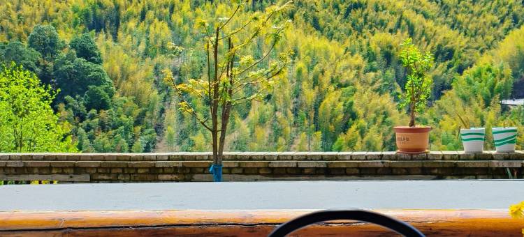 九宫山竹林下民宿图片