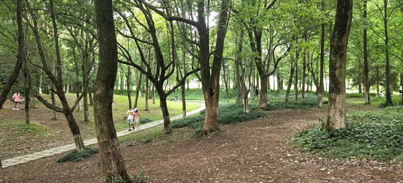 X-电竞酒店(海宁店)图片