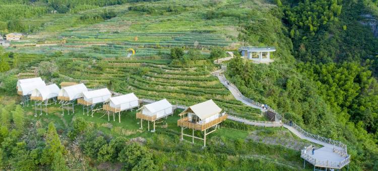 政和县稠岭明月松间露营地图片
