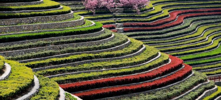 大方悦程民宿(奢香古镇店)图片