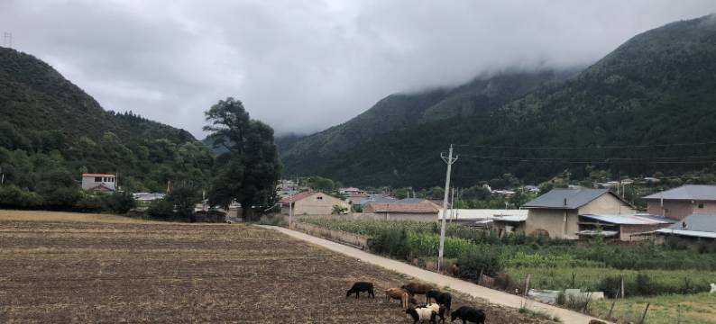 迭部珠曼措民宿图片