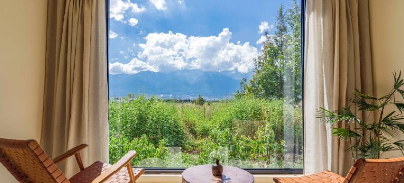 大理隐竺茶宿图片