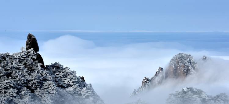 黄山狮林大酒店图片