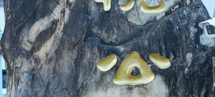 悦公馆酒店(保山永昌路店)图片