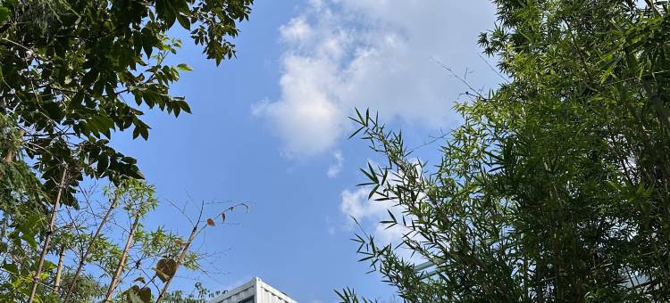 云山雅舍(成都天府国际机场店)图片