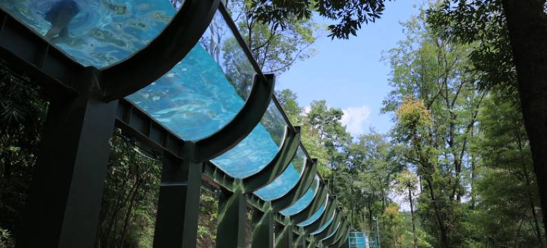 花水湾第一村森林温泉酒店图片