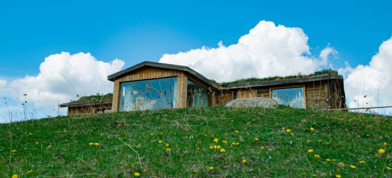 琼库什台岭杉民宿图片