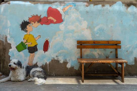 西双版纳景洪见野·田园度假艺墅(嘎洒机场店)图片