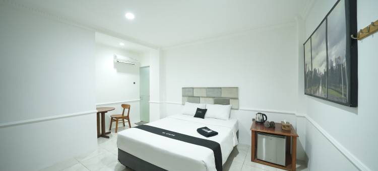 DS CoLive 玛丽娜(DS CoLive Marina)图片