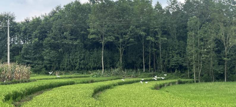 安驿六间堂民宿图片