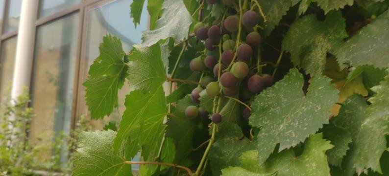 临夏永德商务宾馆图片