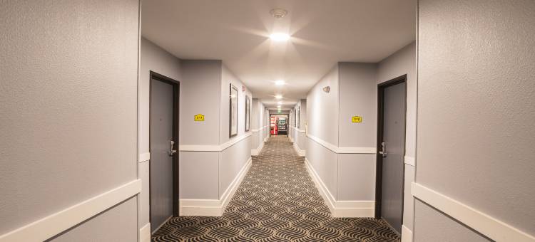 伯克利/埃尔瑟瑞托速8酒店(Hotel Mira Vista)图片