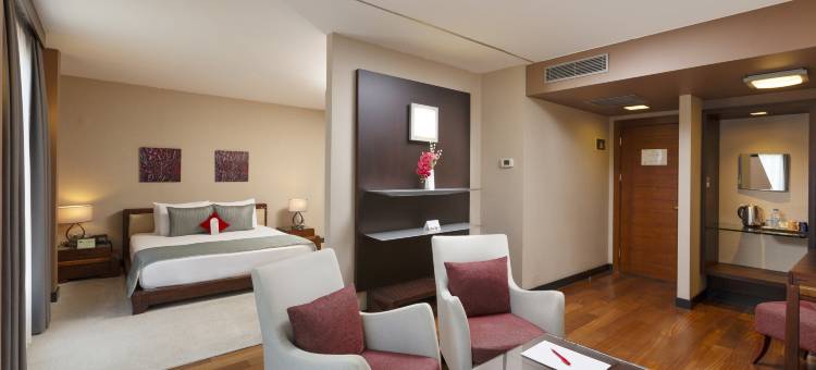 日本酒店(Nippon Hotel)图片
