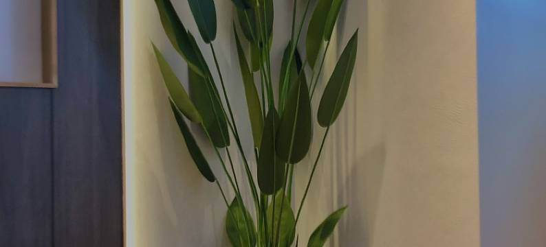 纳尔•维斯｜Mega•Move Theming(长沙五一广场南门口地铁站店)图片