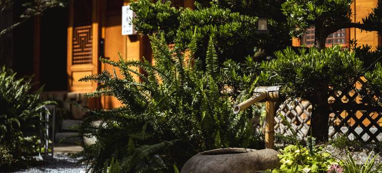 大理舍予·隐秘花园客栈图片