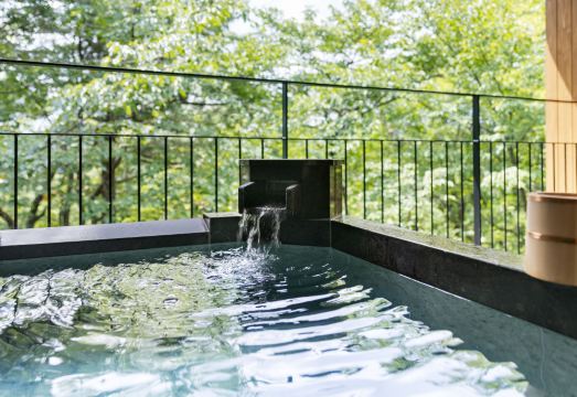 Laforet Shuzenji SanshisuimeiHotel Overview