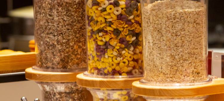 宜必思酒店(丽江古城大水车店)图片