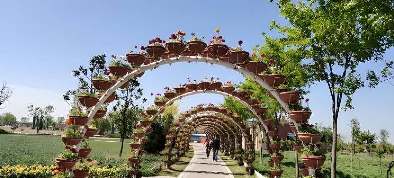 鄢陵南街宾馆图片