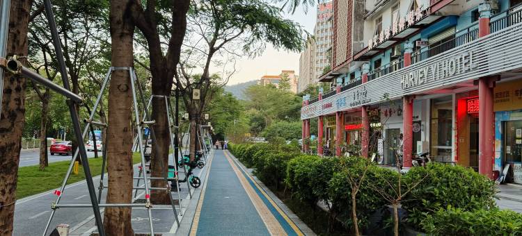 哈维易酒店(深圳国际会展中心凤凰山店)图片
