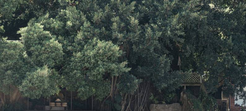 鼓浪屿红堂·HUMBLE HALL图片