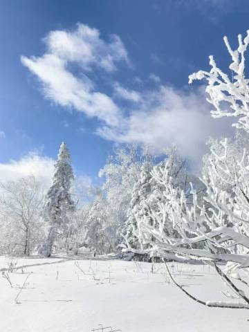 雪谷九鼎阁客栈(雪谷风景区店)图片