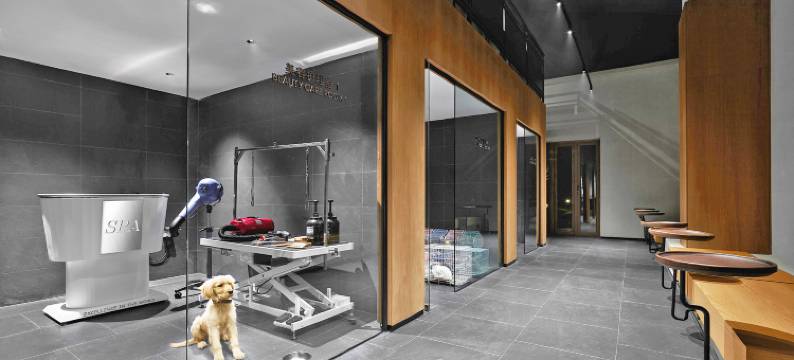 成都温江悦椿酒店图片